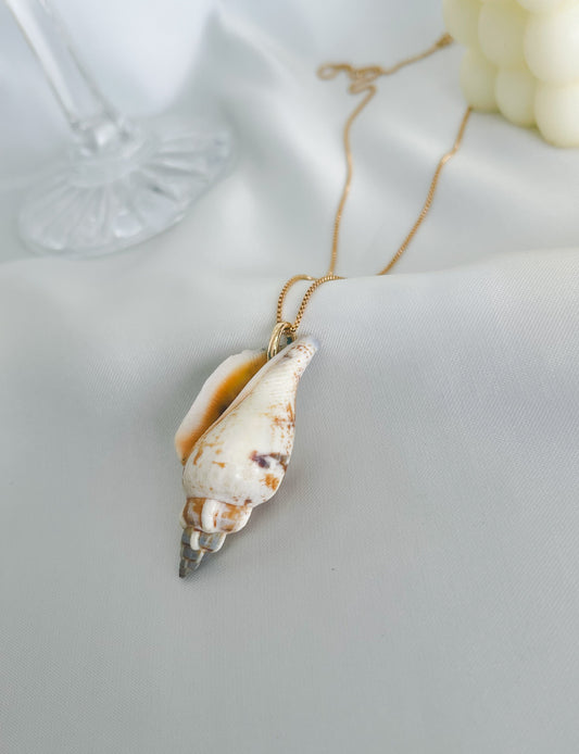 Colar Concha